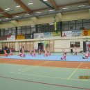 dnio 43
